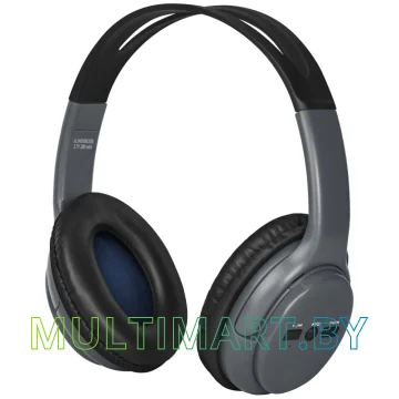 Наушники Defender FreeMotion B520 (серый)